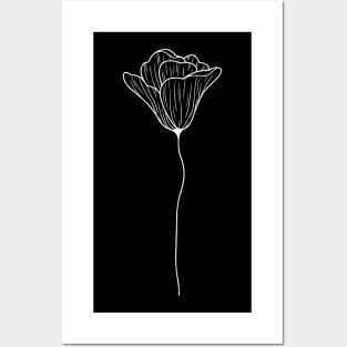 Flower Line Art Poppy Flower Line Work Plain Posters and Art